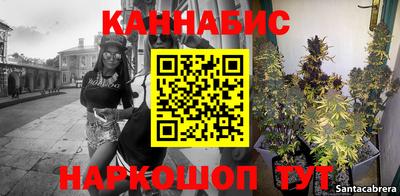 шишки Шебекино