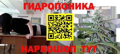 шишки Шебекино