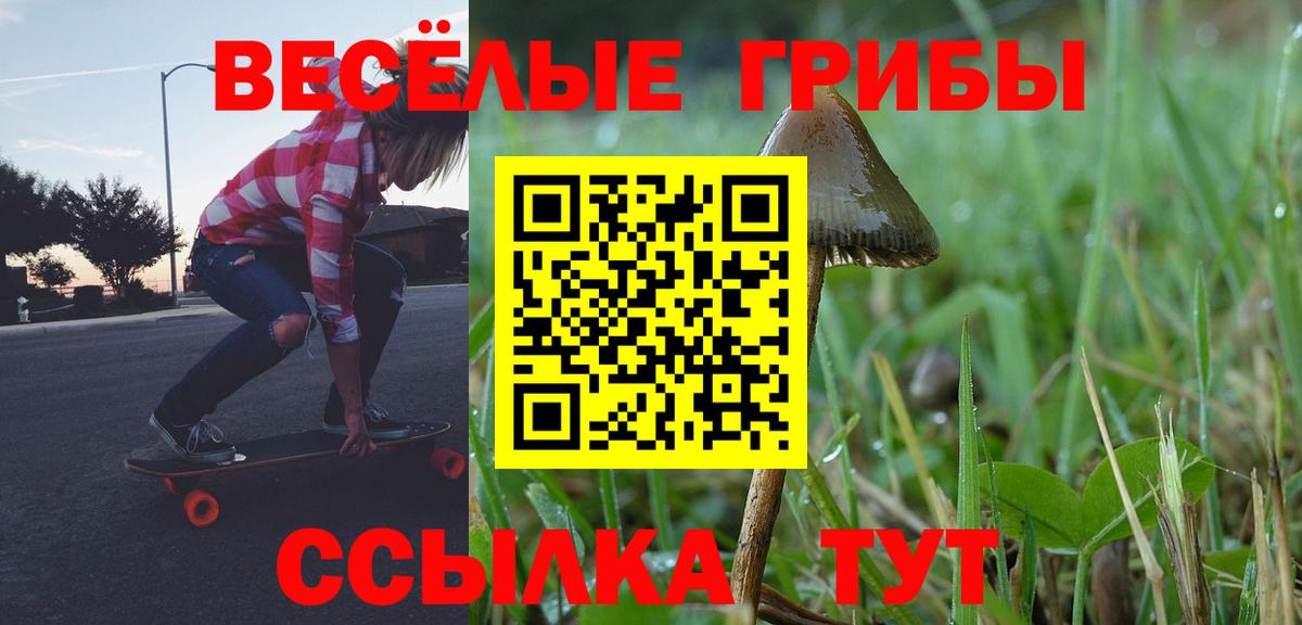 Галлюциногенные грибы мицелий Кувандык